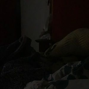 Meet your Posher, Lilly